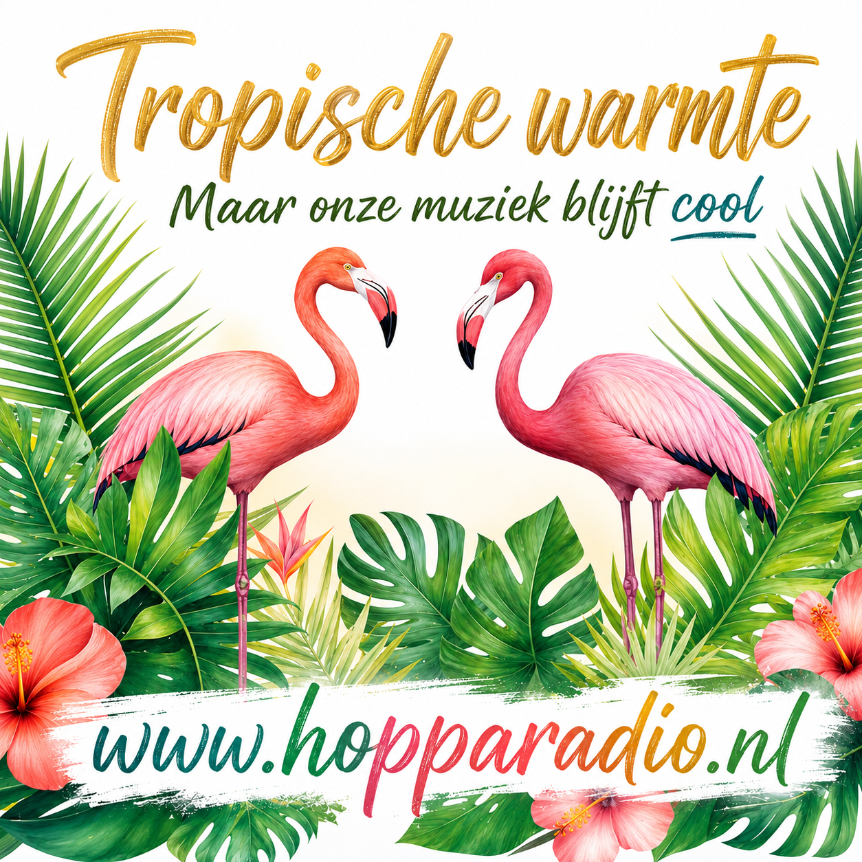 tropische warmte.png